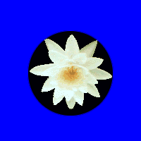 ����������� 5